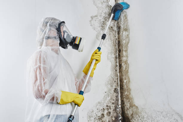 Water damage restoration mold remediation in Brooklyn, IA